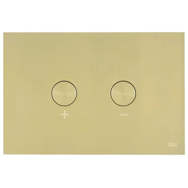 Just Taps Hix Brushed Brass Metal Pneumatic Flush Plate